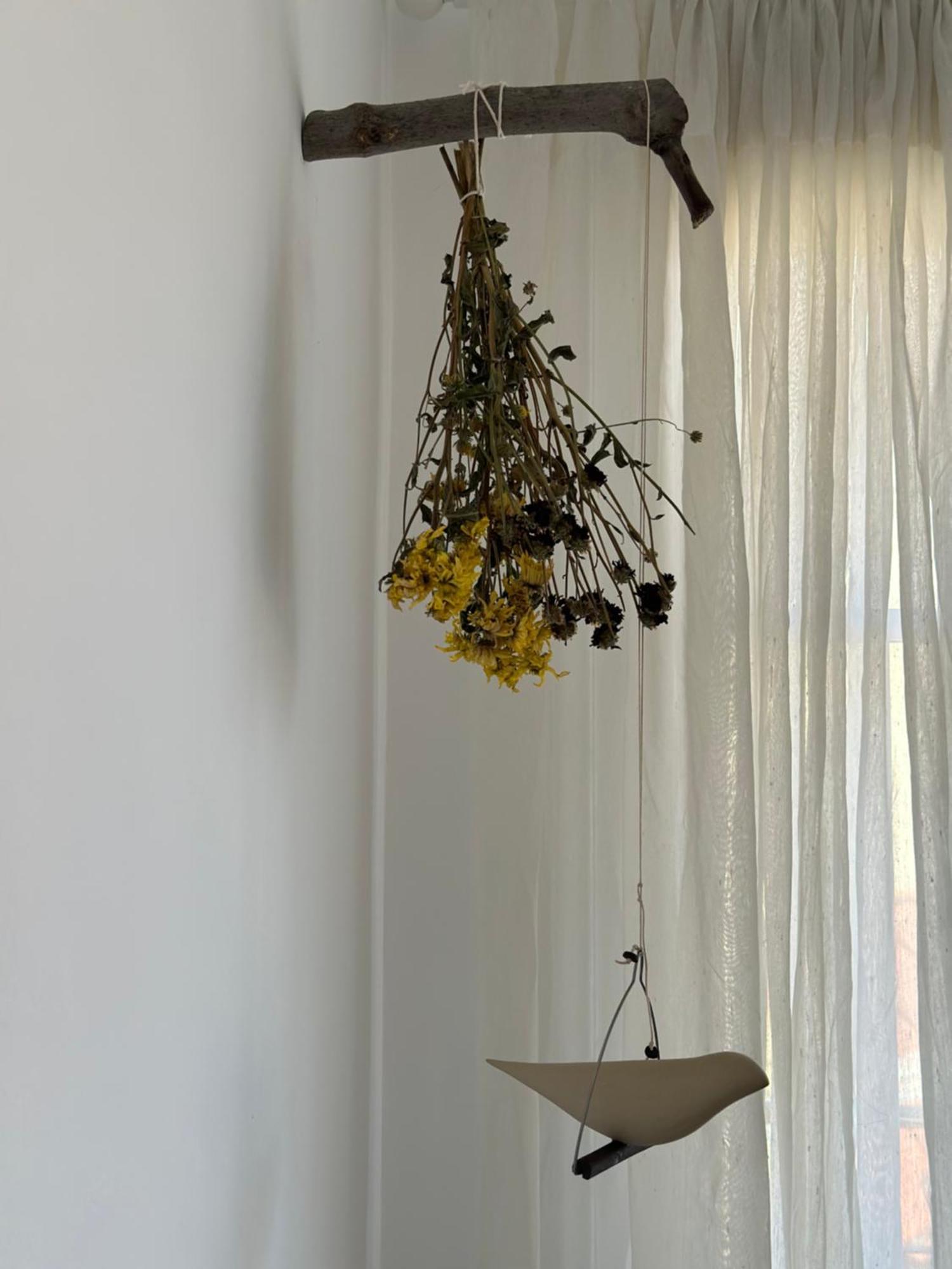 The Lassis 15 House Аргостолион Екстериор снимка